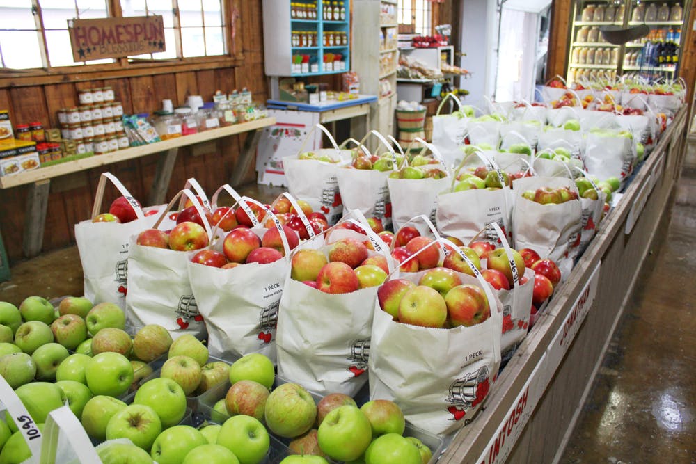 Start Fruit Business Plan| A Complete Guide 3 Fruit Business