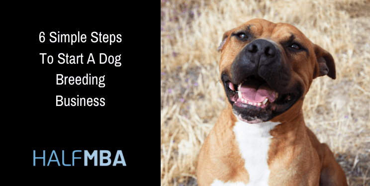 6 Simple Steps To Start A Dog Breeding Business 5