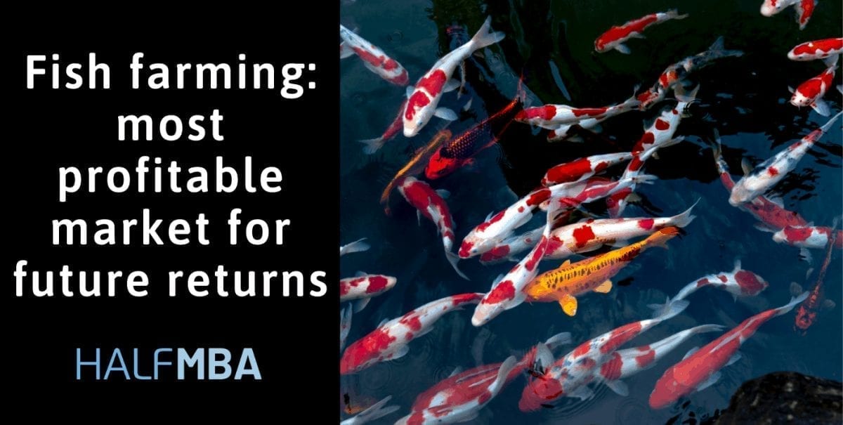 Fish Farming Most Profitable Market For Returns Half MBA