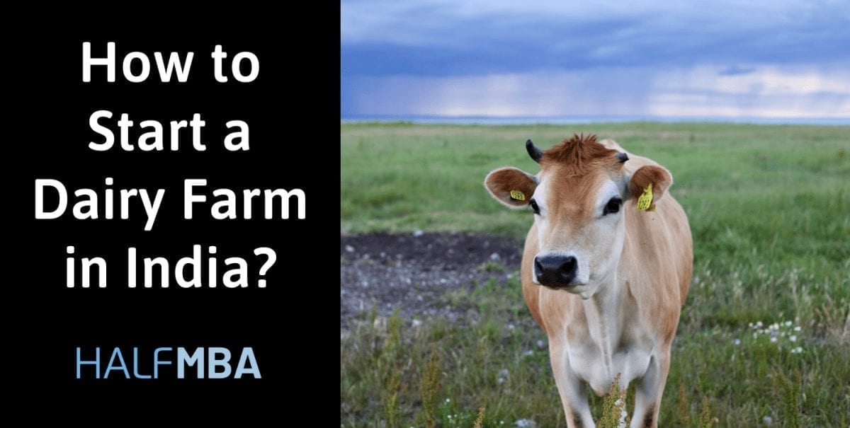 How To Start A Dairy Farm In India? Half MBA