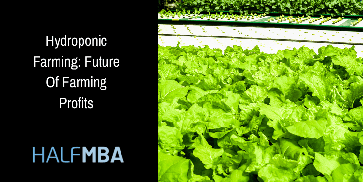 Hydroponic Farming: Future Of Farming Profits 7