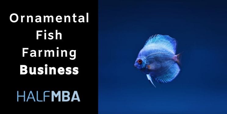 Ornamental Fish Farming Business Plan & Ideas 9