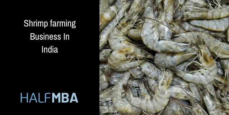 Shrimp Farming Business In India 2