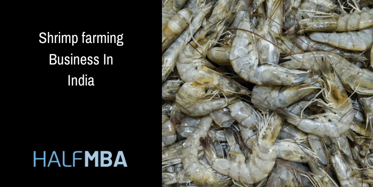 Shrimp Farming Business In India 7