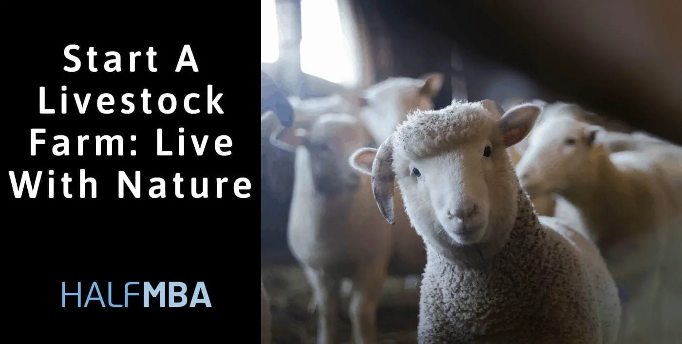 Start A Livestock Farm: Live With Nature 2