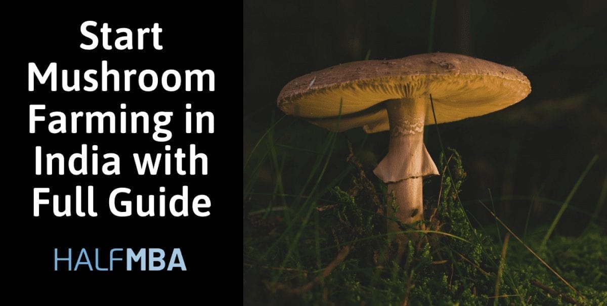 Start Mushroom Farming In India With Full Guide | Half MBA