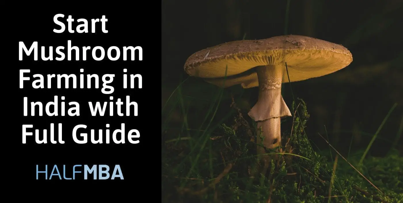 Start Mushroom Farming in India with Full Guide 2