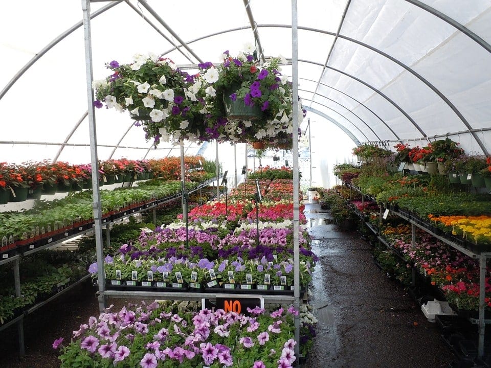 Types of Plant Nurseries