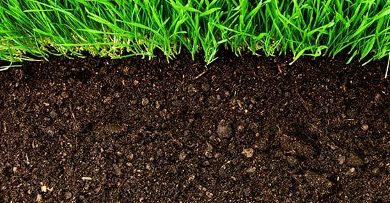 Organic Fertilizer Manufacturing