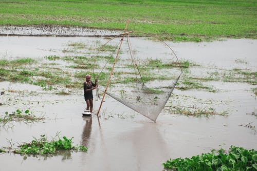 fish farming livestock farming