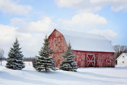 barns livestock farming