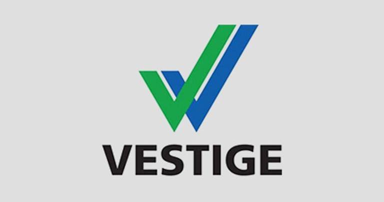 vestige business plan