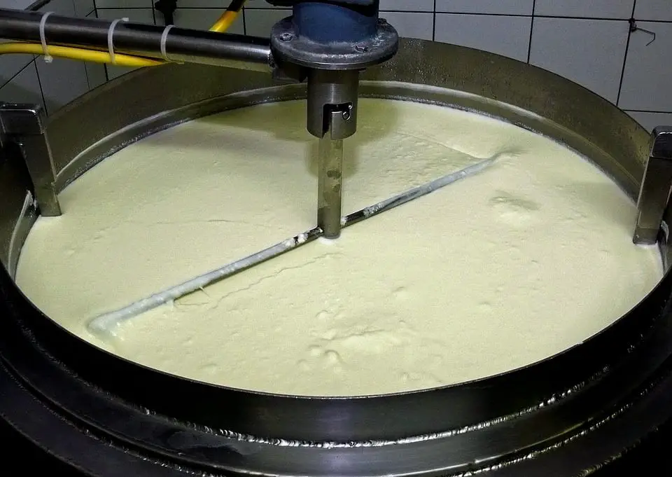 milk processing plant